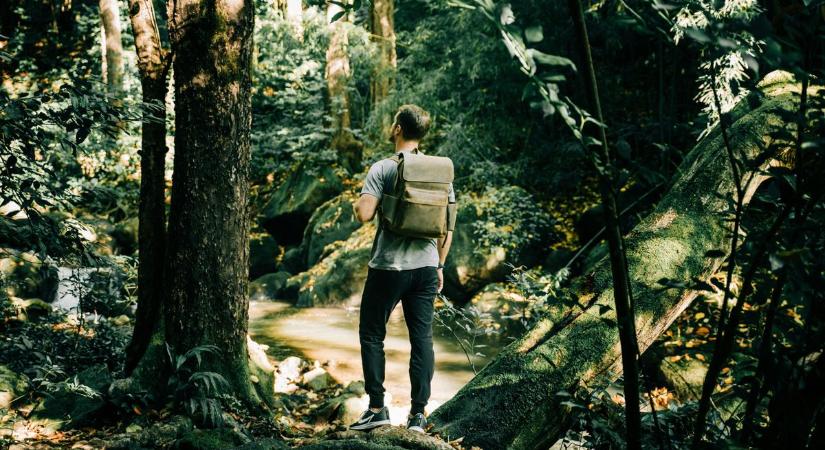 Bakonyi szenzáció: évtizedek után két veszprémnyi erdőt kapnak vissza a túrázók