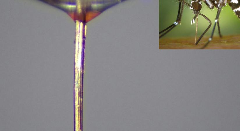 Ismerje meg a nekronyomtatást, izgalmasabb, mint hinné