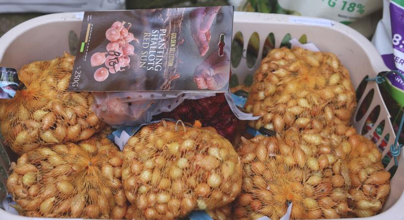 Filléres akció, nulla termés: sok kertbarát pórul járt ezekkel a vetőmagokkal