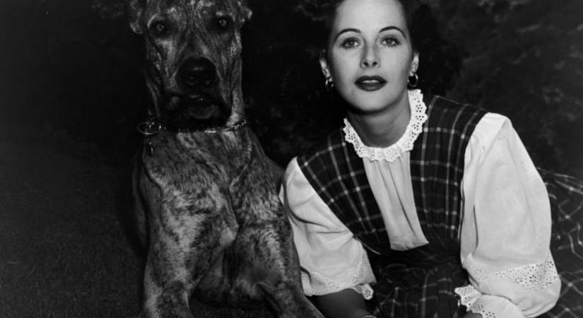 Te tudod, kinek köszönhető a wifi? Női feltalálók villámkvíze