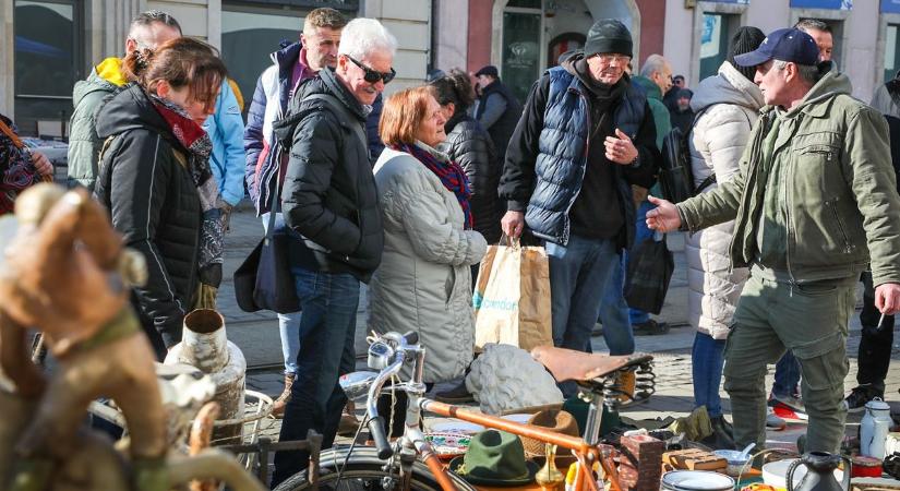 Különleges gasztronómiai újdonság a miskolci régiségvásárban – ezt nem mindenki merte megkóstolni (fotókkal, videóval)