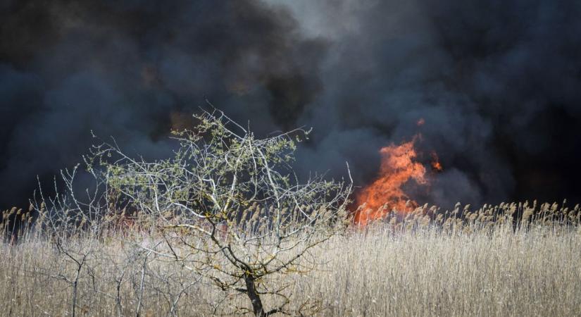 Nádastűz pusztított a térségben: négy település tűzoltói vonultak a lángokhoz