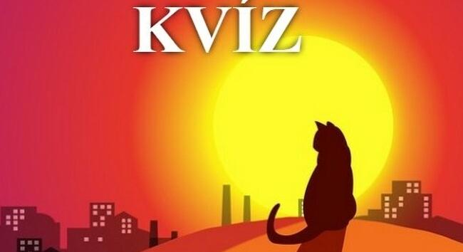 A kihívás egyszerű - Adj legalább 6 jó válasznál többet ezekre a kérdésekre! Napi kvíz