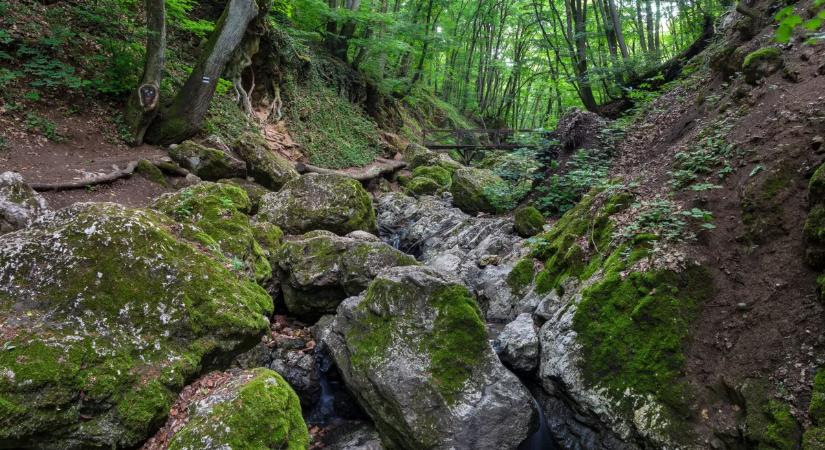 Dera-szurdok – rövid túra a Pilis egyik legszebb völgyében