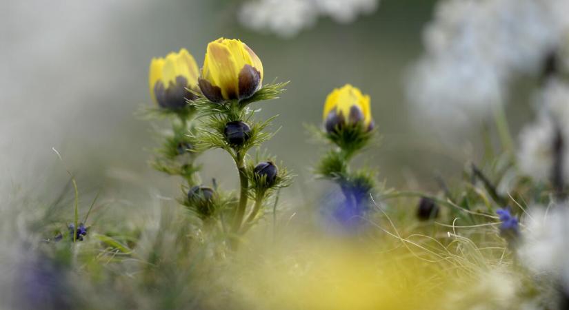 Berobban a jó idő a jövő héten, a péntekre érdemes figyelni