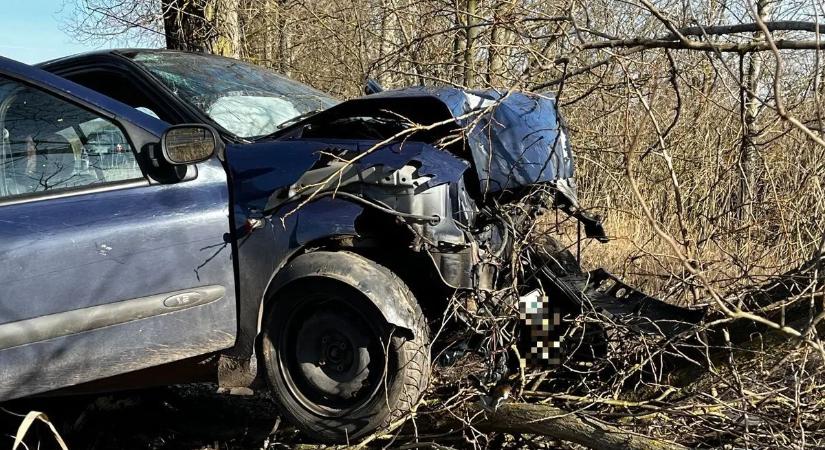 Fák közé csapódott egy autó: súlyos baleset Hajdúböszörménynél – képekkel és videóval