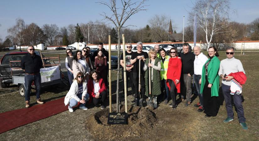 Ezért ültettek szeretetfát Győrben – Sok fotót hoztunk