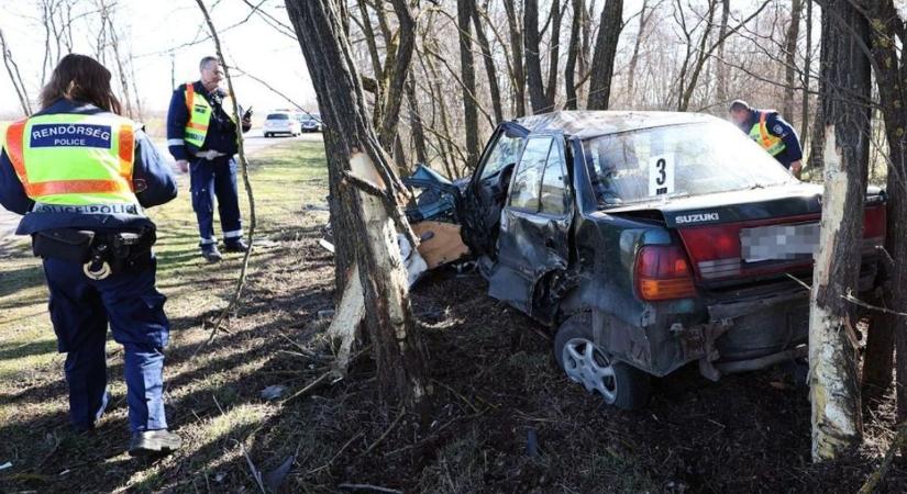 Két kisgyerekkel csapódott a fák közé a Suzuki (képek, videó)