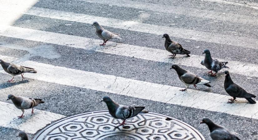Két kisgyermek és egy nő megégett egy elszabadult aknafedél miatt