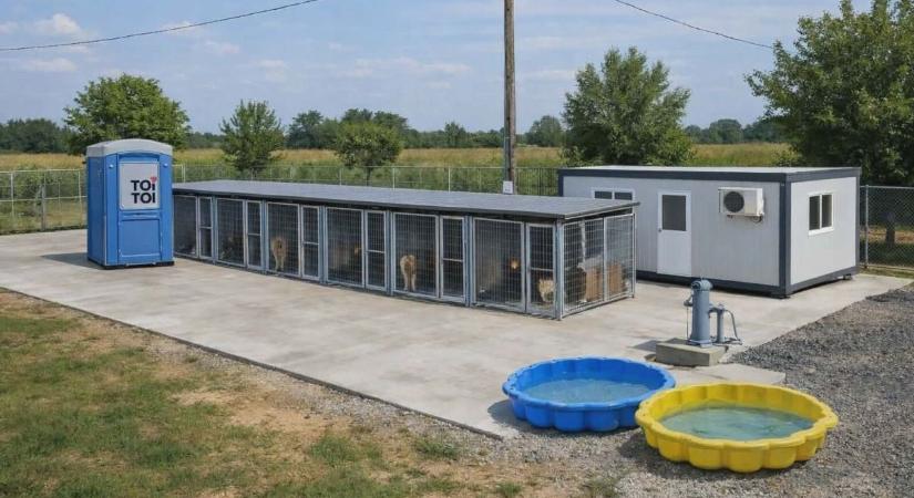 Új állatmenhelyt hoznak létre – szívesen fogadják a segítséget