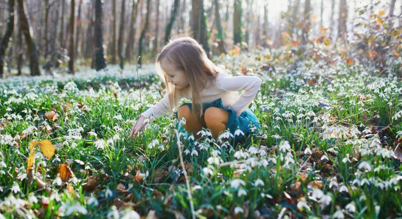 Ezt a kvízt csak a tavasz igazi szakértői tudják hibátlanra kitölteni!
