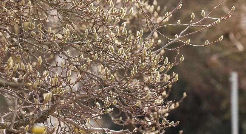 Nyugalom a láthatáron – de mit hoz valójában az időjárás holnap Borsodban?