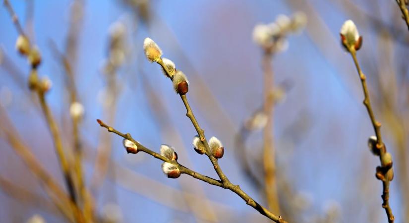 Nem lesz dráma holnap az égen, csak egy kis hangulatingadozás