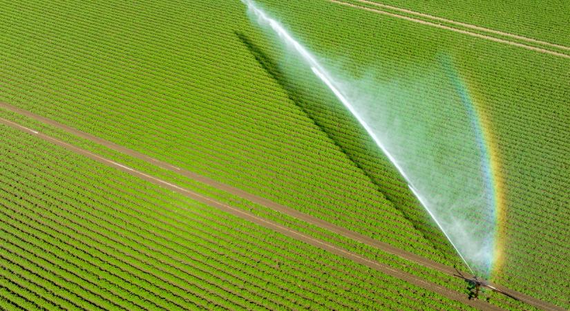 Van egy fontos szempont, amire nem figyeltek a termelők