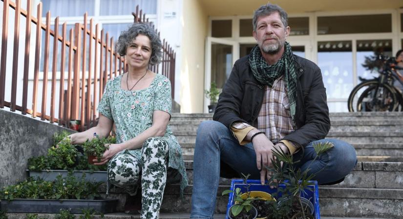 Alig várják már a tavasz zsendülését Tápon, mutatjuk a növény csere-bere legzöldebb képeit!