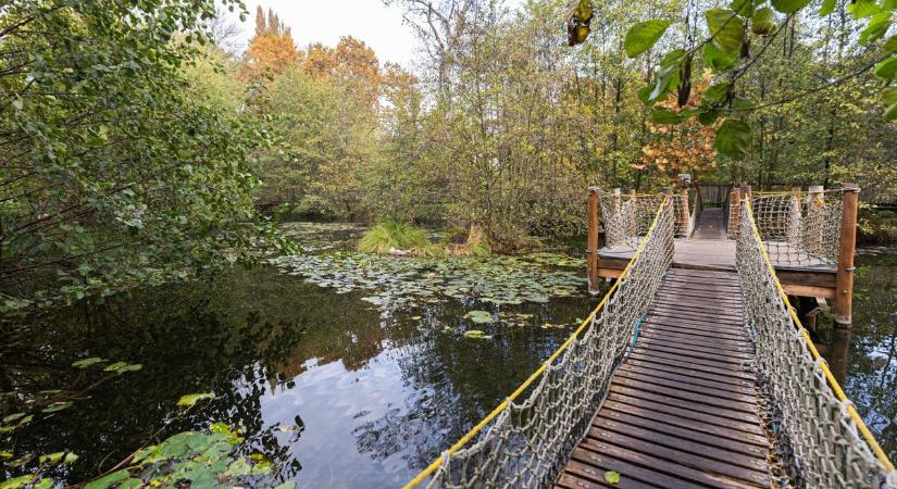 Ez a mesebeli láperdő nyűgözte le Gianniékat ezt még talán te sem tudtad róla