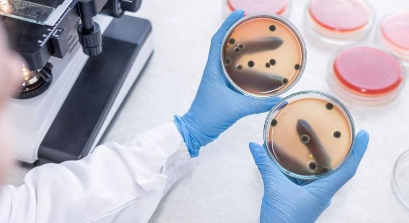 Meglepő, meddig életképesek a kórokozók a lakás különböző felületein, de van egy-két jó hírünk is