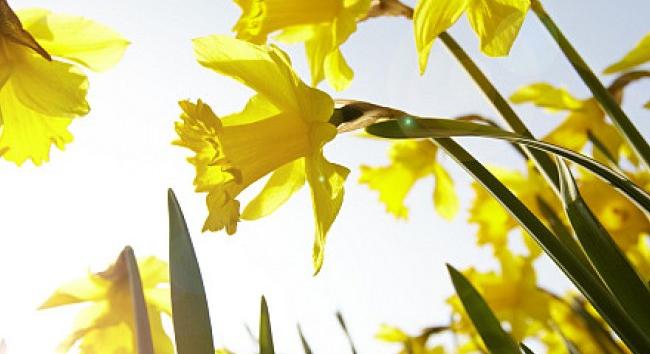 Időjárás-előrejelzés március első hetére