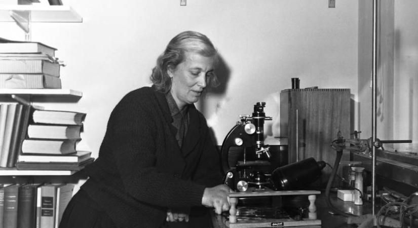 Kortársai zseninek tartották, az újságok mégis háziasszonyként emlegették a Nobel-díjas kémikust