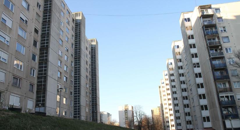 Undorító dolgot tettek Miskolcon az általános iskola közelében