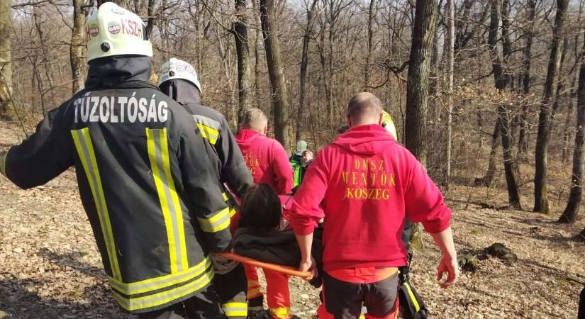 Hatalmas összefogás: Sérült turistát mentettek a meredek dombról a vasi tűzoltók - fotók