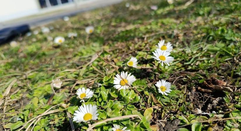 Új hét, új fordulat az időjárásban? Hétfőn ettől most nem kell tartani