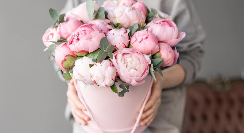 Ma, március 2.: Lujza névnapja van – Milyen jelentéssel bír a név?