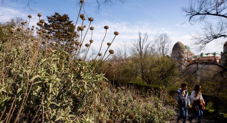 Kicsit veszít az erejéből, de a hét első napján folytatódik a tavaszias időjárás