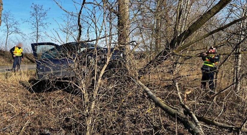 Halálos baleset: fák közé csapódott egy autó vasárnap délután (képek, videó)