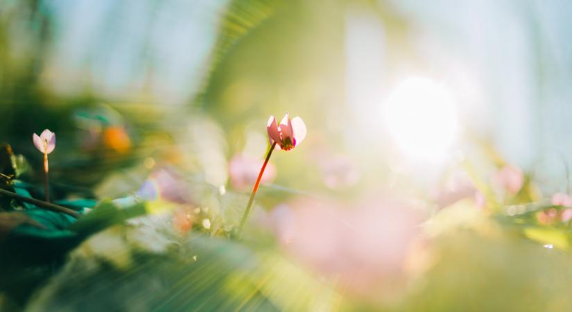 Orvosmeteorológia: meglepően meleg lesz hétfőn