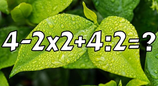 Napi matek feladat: 4-224:2? Ezen az iskolás egyenleten a felnőttek fele elbukik!