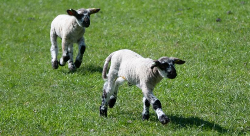 Ilyen időjárásra számíthatsz idén tavasszal!