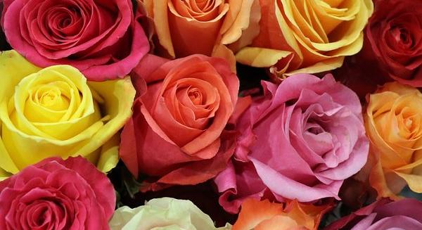 Ezek a nőnapi ajándékok a legnépszerűbbek