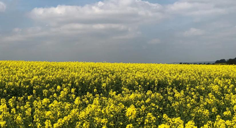 Időjárás-előrejelzés: két arcát mutatja az ország – ön melyik oldalon lesz?