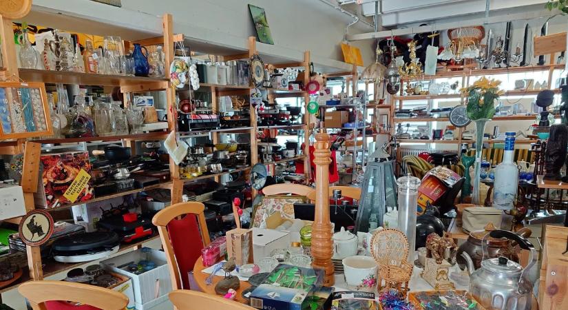 3000 ezerért vett egy plüsst a turkálóban a férfi: amikor megtudta, mennyit ér, padlót fogott