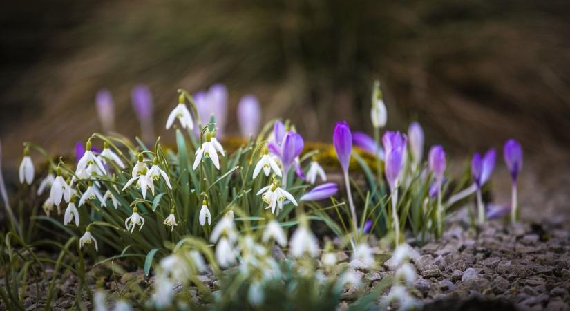 Helló, tavasz!