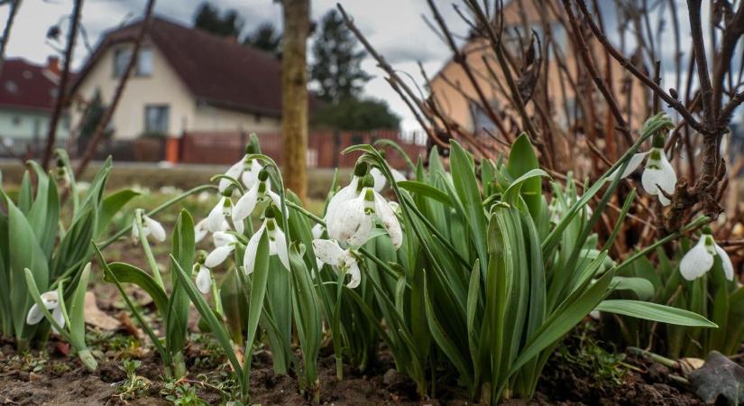 Csapadékos délelőttöt egy igazi, tavaszi folytatást követ