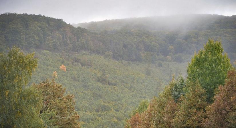 Két asszony álma, egy hegyek közé rejtett ház – így született a Mátra legendás szállója