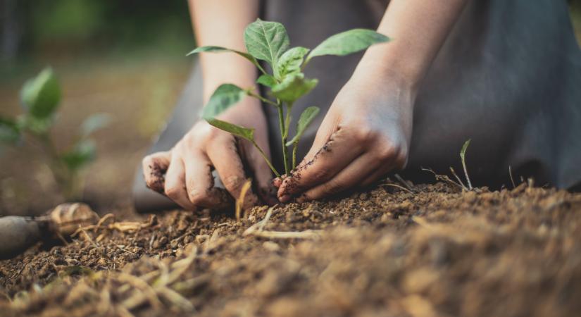 Nagyot lépett a multicég: nem akármilyen lehetőséget ajánl a termelőknek
