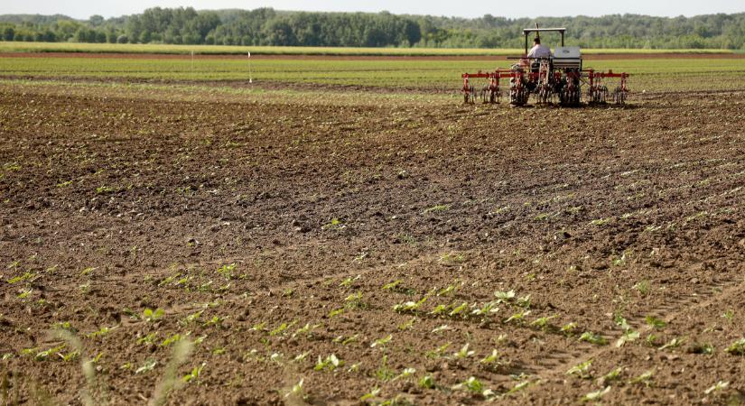 A jó minőségű talaj alapja az emberi egészségnek (is)