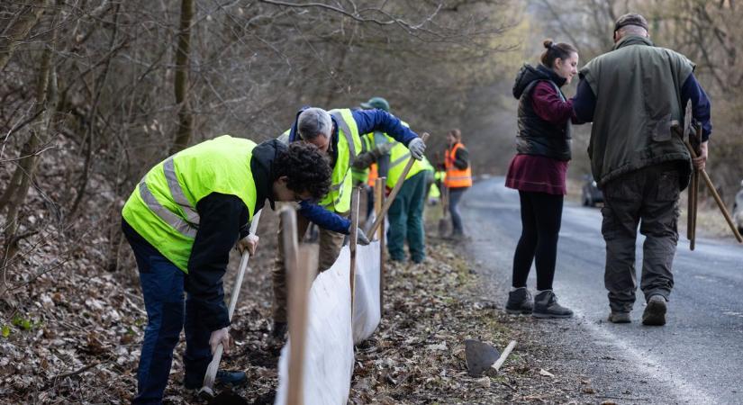 A hétvége legjobb fotói egy helyen