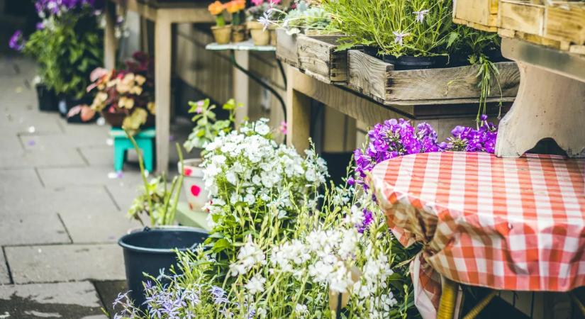 Nőnapra komoly bírság jöhet - itt ellenőriz a NAV
