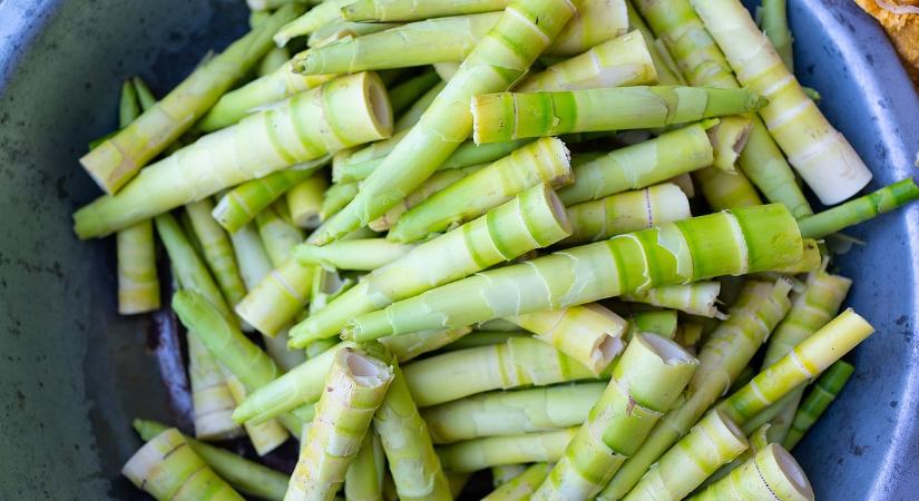 Ez a növény jóval több, mint aminek látszik - új szuperélelmiszer a láthatáron