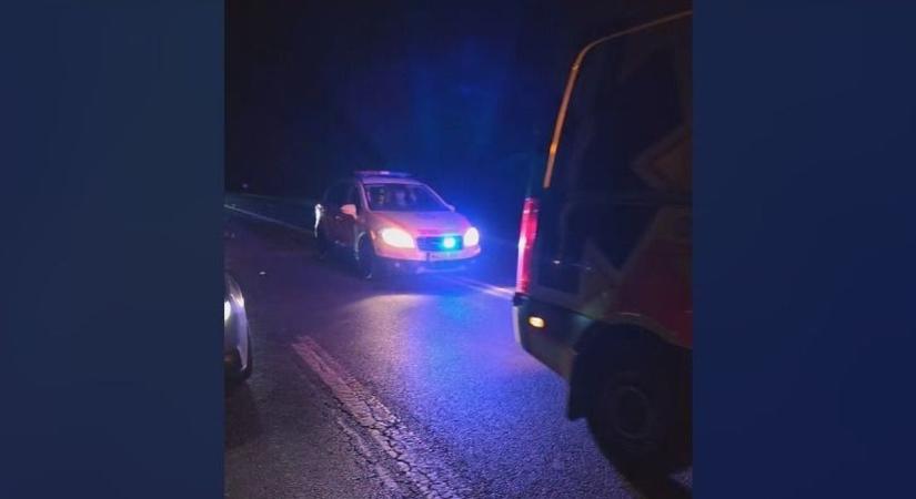 Tragikus baleset: óriási szarvast gázoltak el a 6-os úton