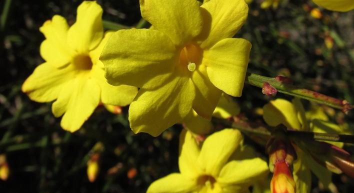 Márciusi programokkal vár a Hortobágyi Nemzeti Park Igazgatóság