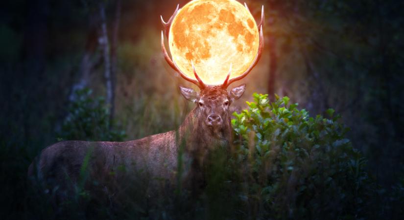 A keddi Szűz telihold és teljes holdfogyatkozás hatalmas feszültséget jelez – heti holdhoroszkóp március 2-8.