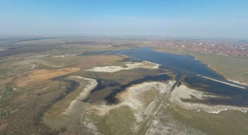 Újra itt volt a híres „kanadai” a Nagy-sziken!