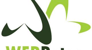 A vegetarianizmus árt a csontfejlődésnek