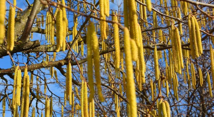 A héten berobban a tavasz, és úgy tűnik velünk is marad