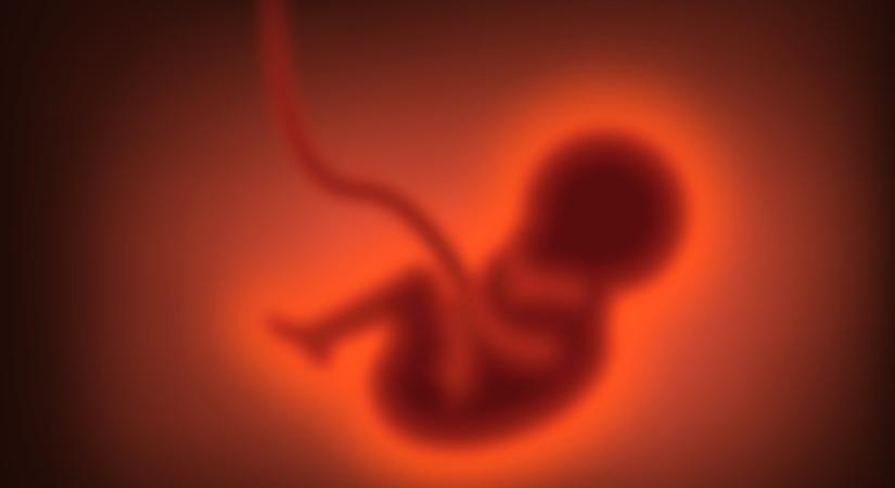 Már magzati korban kimutatható lehet az autizmus kockázata